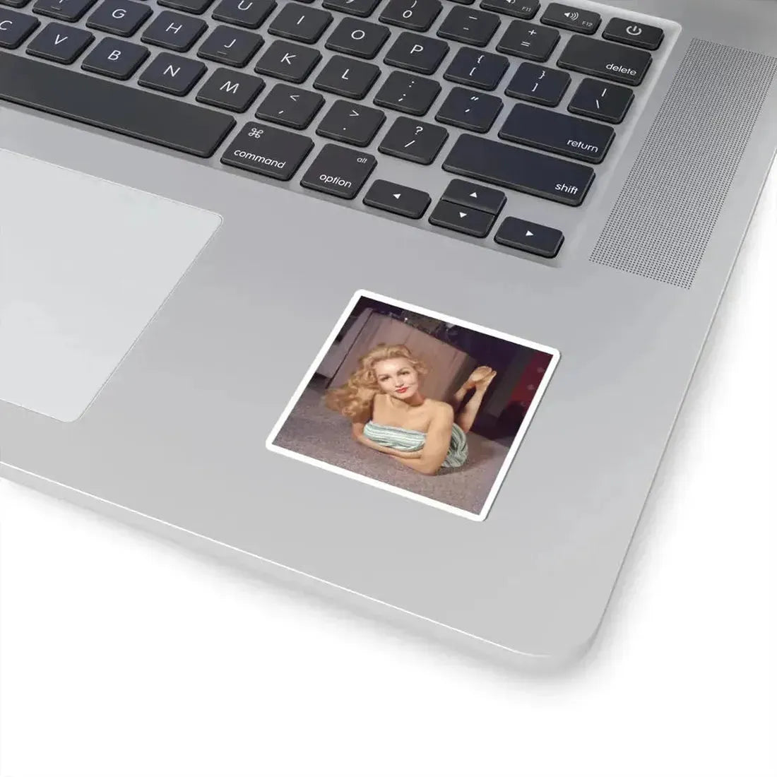 Julie Newmar #638 (Vintage Female Icon) STICKER Vinyl Kiss-Cut Decal - The Sticker Space