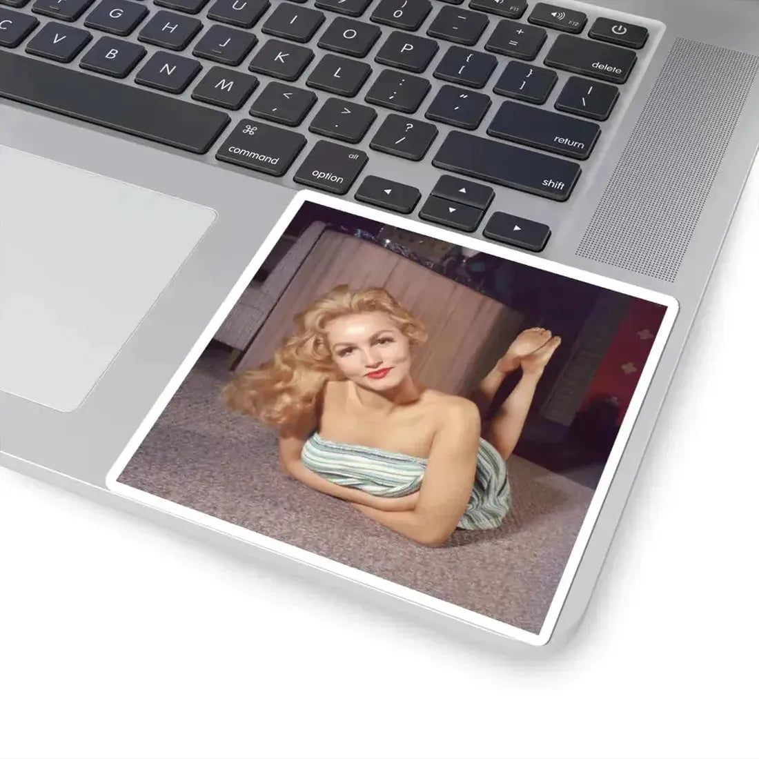 Julie Newmar #638 (Vintage Female Icon) STICKER Vinyl Kiss-Cut Decal - The Sticker Space