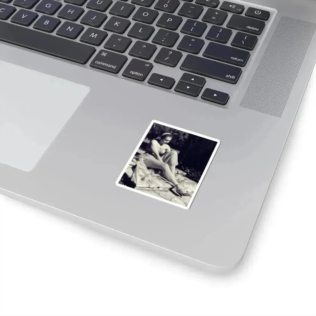 Julie Newmar #658 (Vintage Female Icon) STICKER Vinyl Kiss-Cut Decal - The Sticker Space