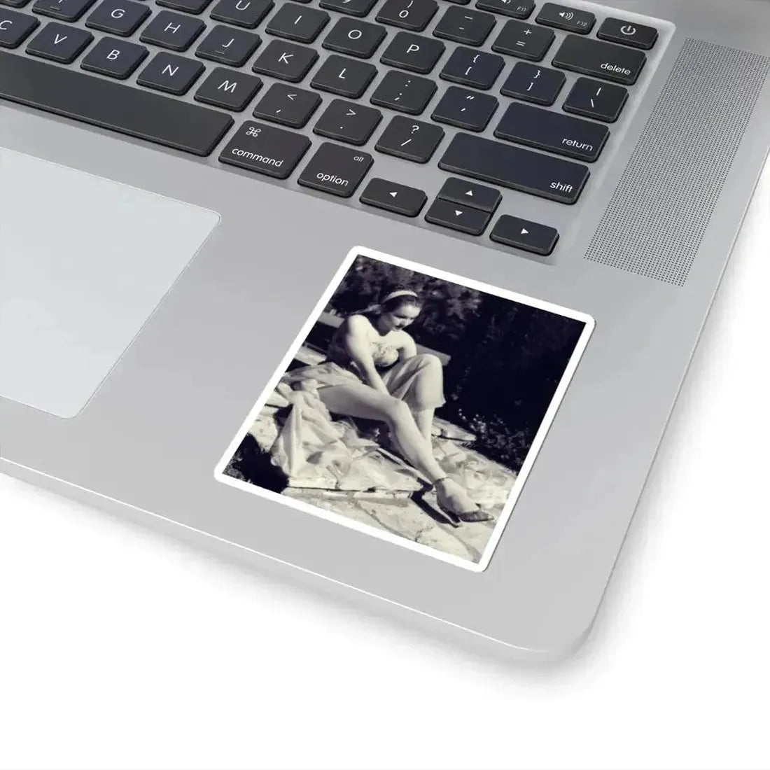 Julie Newmar #658 (Vintage Female Icon) STICKER Vinyl Kiss-Cut Decal - The Sticker Space