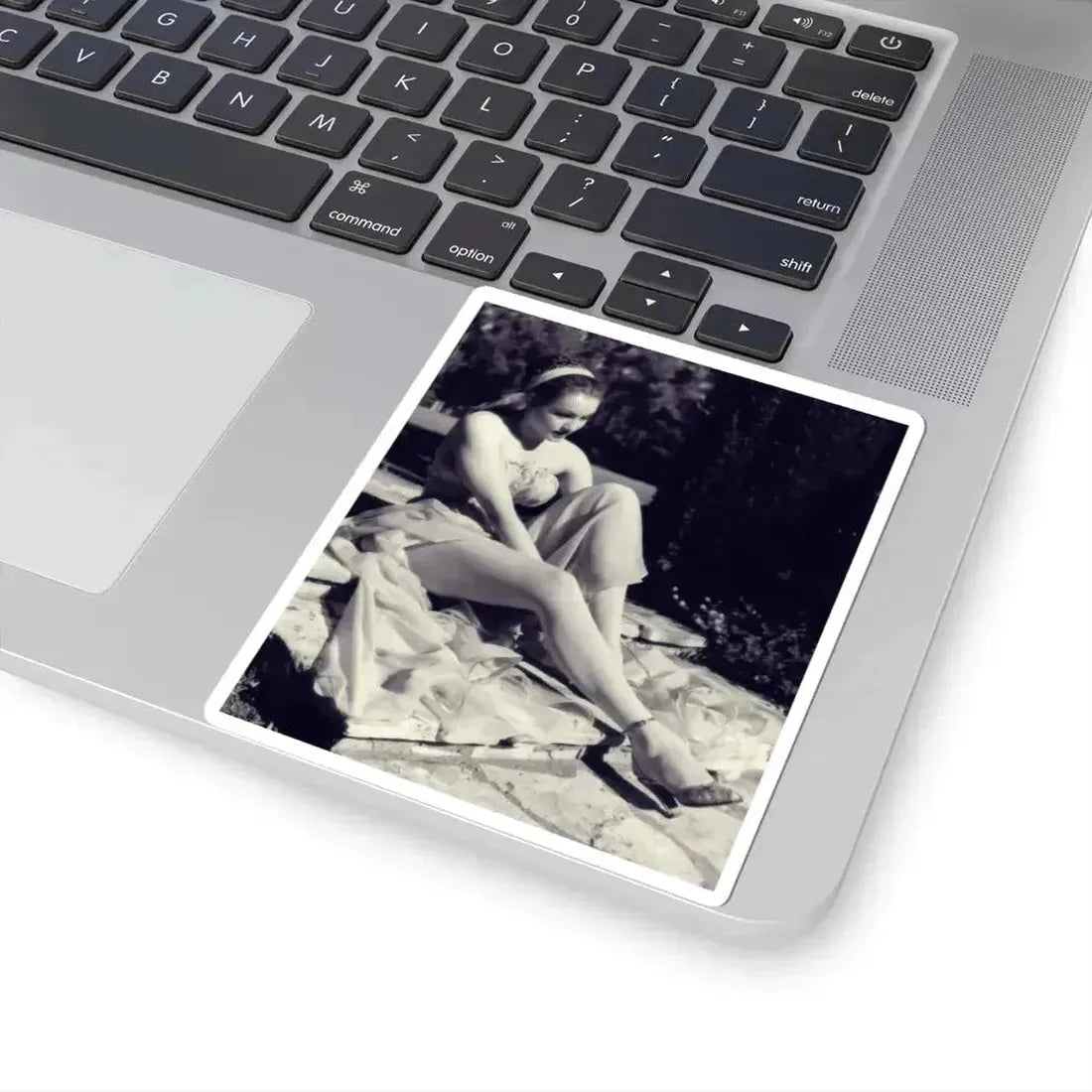 Julie Newmar #658 (Vintage Female Icon) STICKER Vinyl Kiss-Cut Decal - The Sticker Space