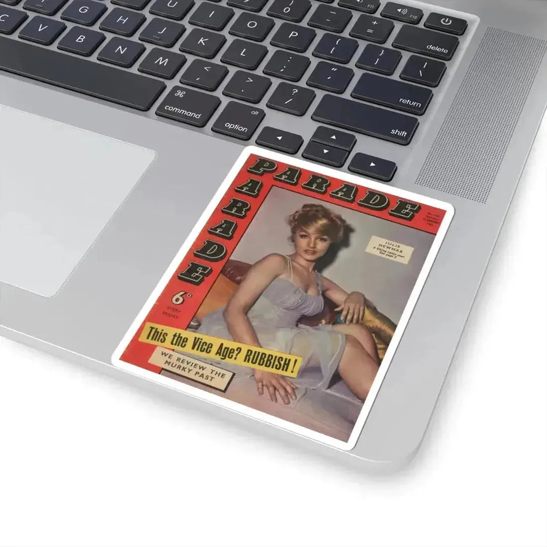 Julie Newmar #661 (Vintage Female Icon) STICKER Vinyl Kiss-Cut Decal - The Sticker Space