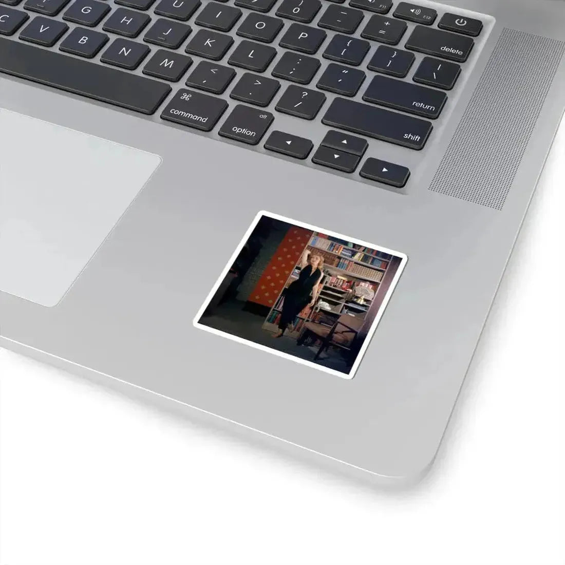 Julie Newmar #667 (Vintage Female Icon) STICKER Vinyl Kiss-Cut Decal - The Sticker Space