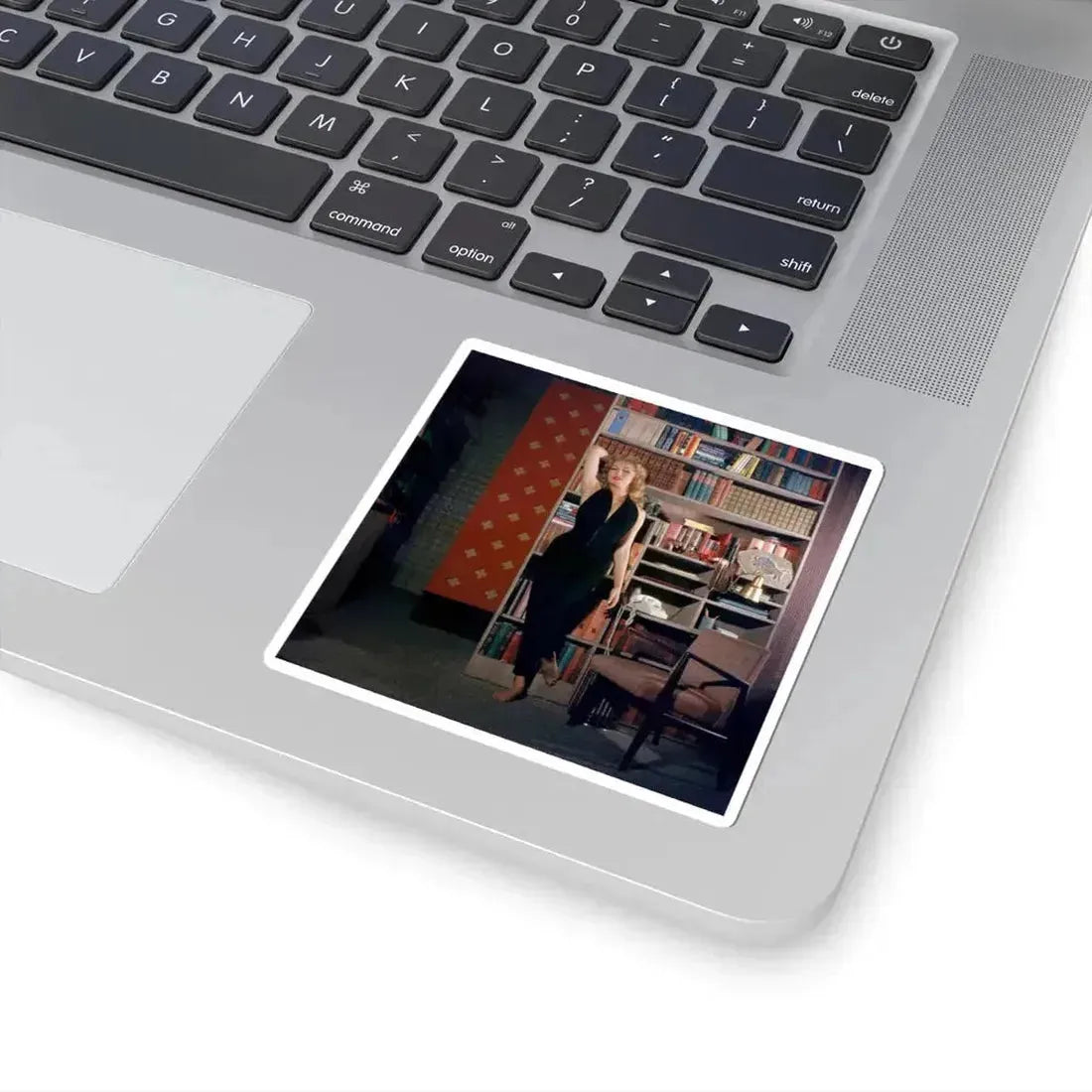 Julie Newmar #667 (Vintage Female Icon) STICKER Vinyl Kiss-Cut Decal - The Sticker Space