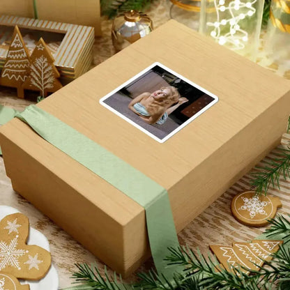 Julie Newmar #670 (Vintage Female Icon) STICKER Vinyl Kiss-Cut Decal - The Sticker Space