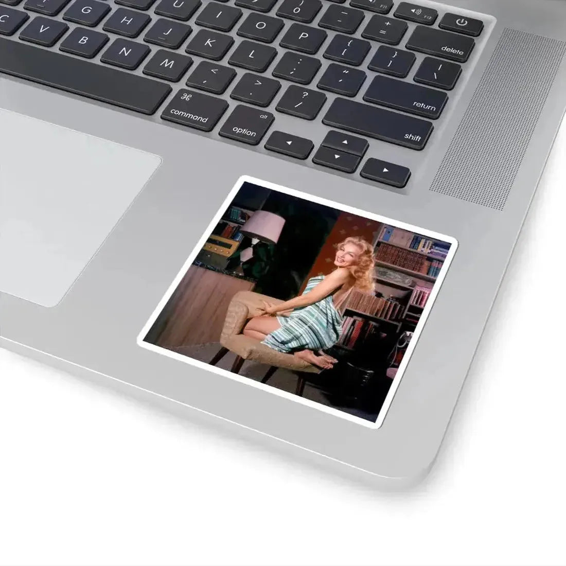 Julie Newmar #672 (Vintage Female Icon) STICKER Vinyl Kiss-Cut Decal - The Sticker Space