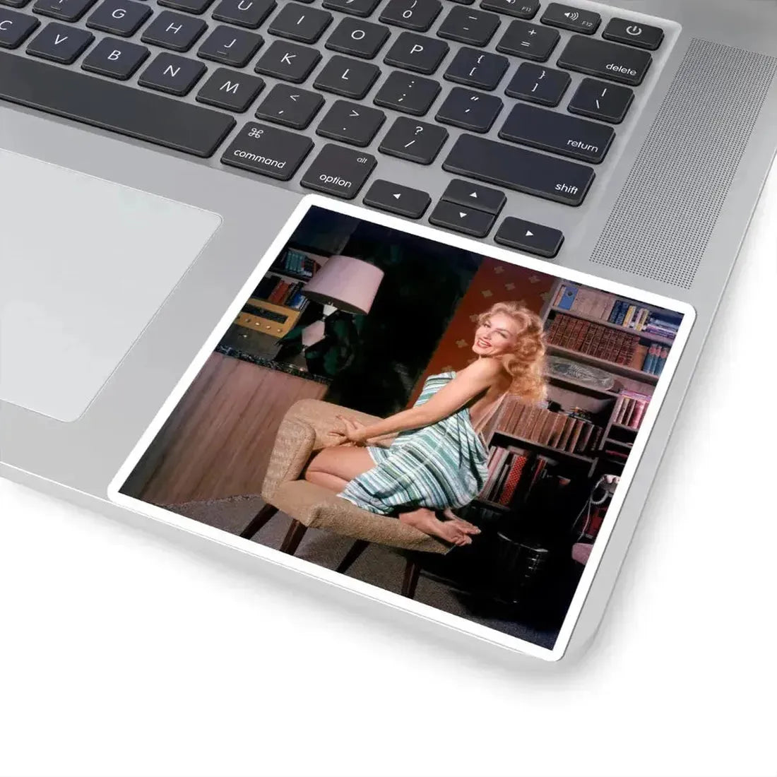 Julie Newmar #672 (Vintage Female Icon) STICKER Vinyl Kiss-Cut Decal - The Sticker Space