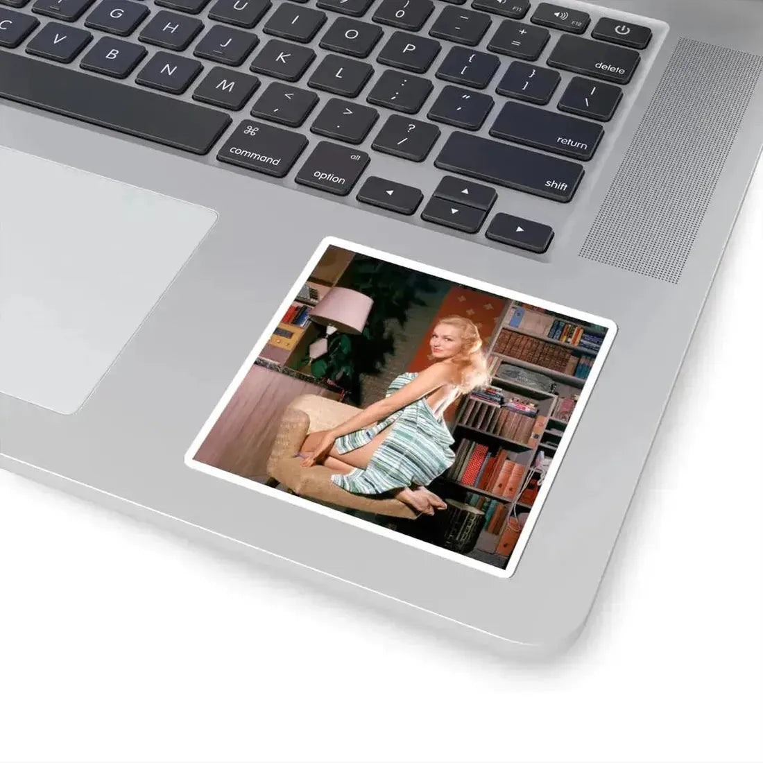 Julie Newmar #674 (Vintage Female Icon) STICKER Vinyl Kiss-Cut Decal - The Sticker Space