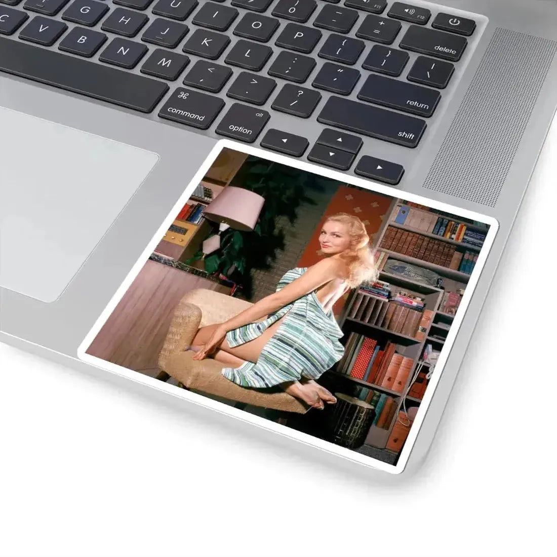 Julie Newmar #674 (Vintage Female Icon) STICKER Vinyl Kiss-Cut Decal - The Sticker Space