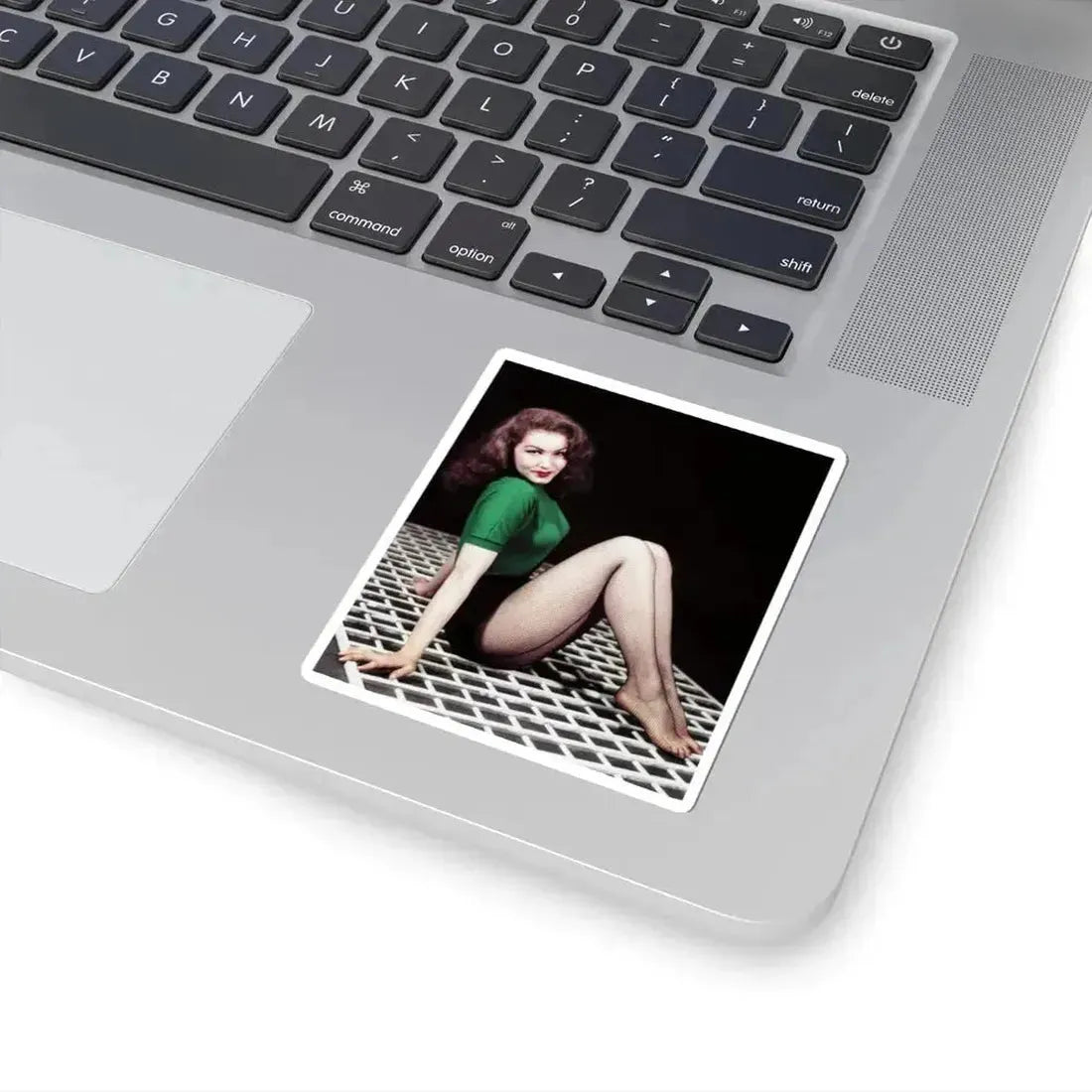 Julie Newmar #81 (Vintage Female Icon) STICKER Vinyl Kiss-Cut Decal - The Sticker Space