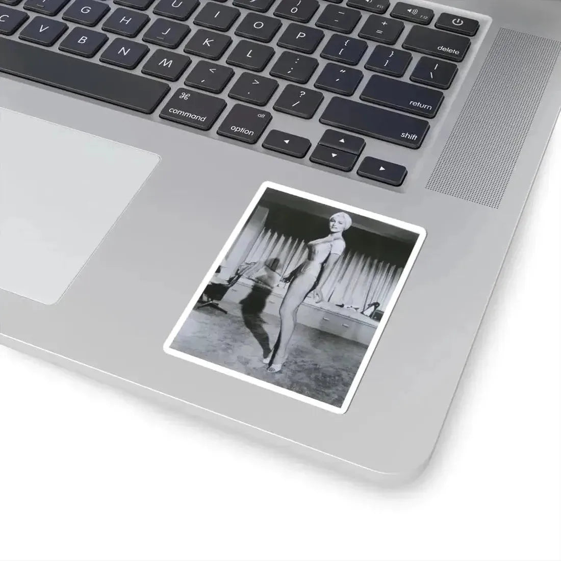 Julie Newmar #91 (Vintage Female Icon) STICKER Vinyl Kiss-Cut Decal - The Sticker Space