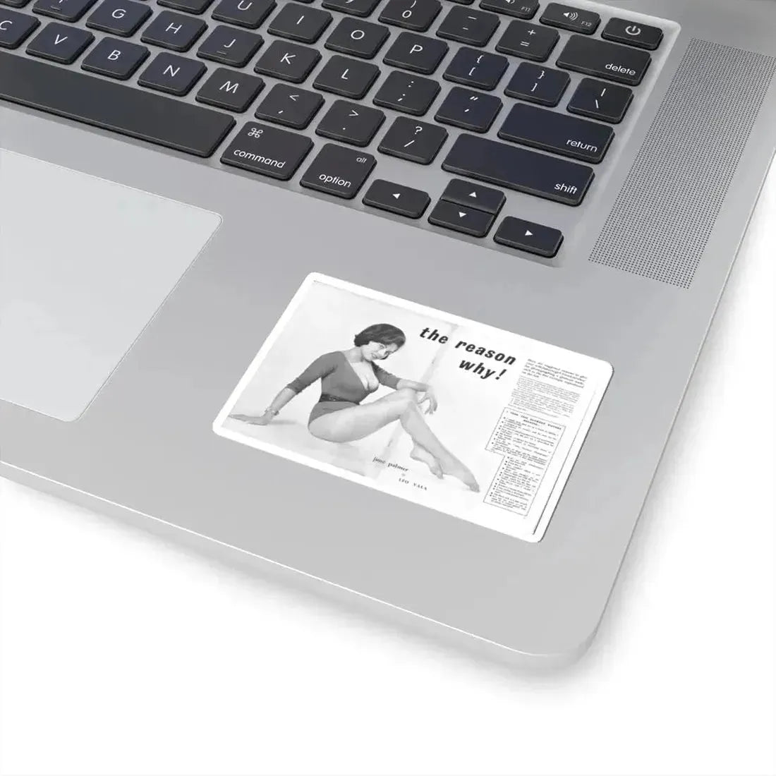 June Palmer #234 (Vintage Female Icon) STICKER Vinyl Kiss-Cut Decal - The Sticker Space