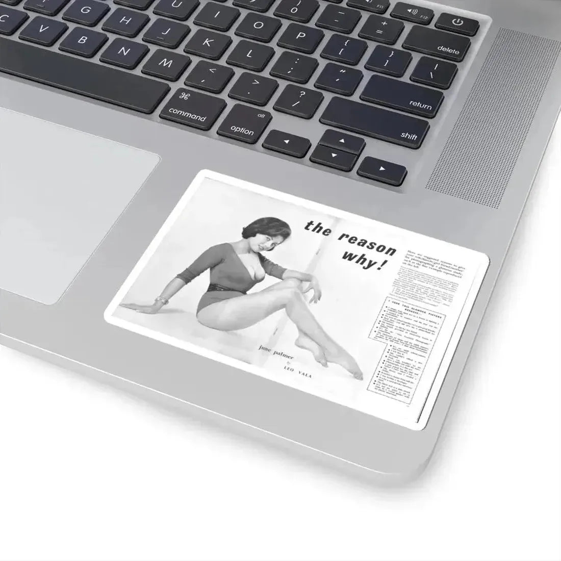 June Palmer #234 (Vintage Female Icon) STICKER Vinyl Kiss-Cut Decal - The Sticker Space