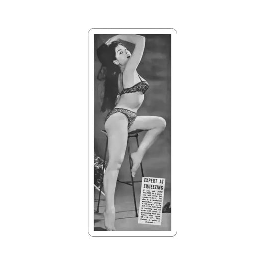 June Palmer #252 (Vintage Female Icon) STICKER Vinyl Kiss-Cut Decal 2 Inch White - The Sticker Space