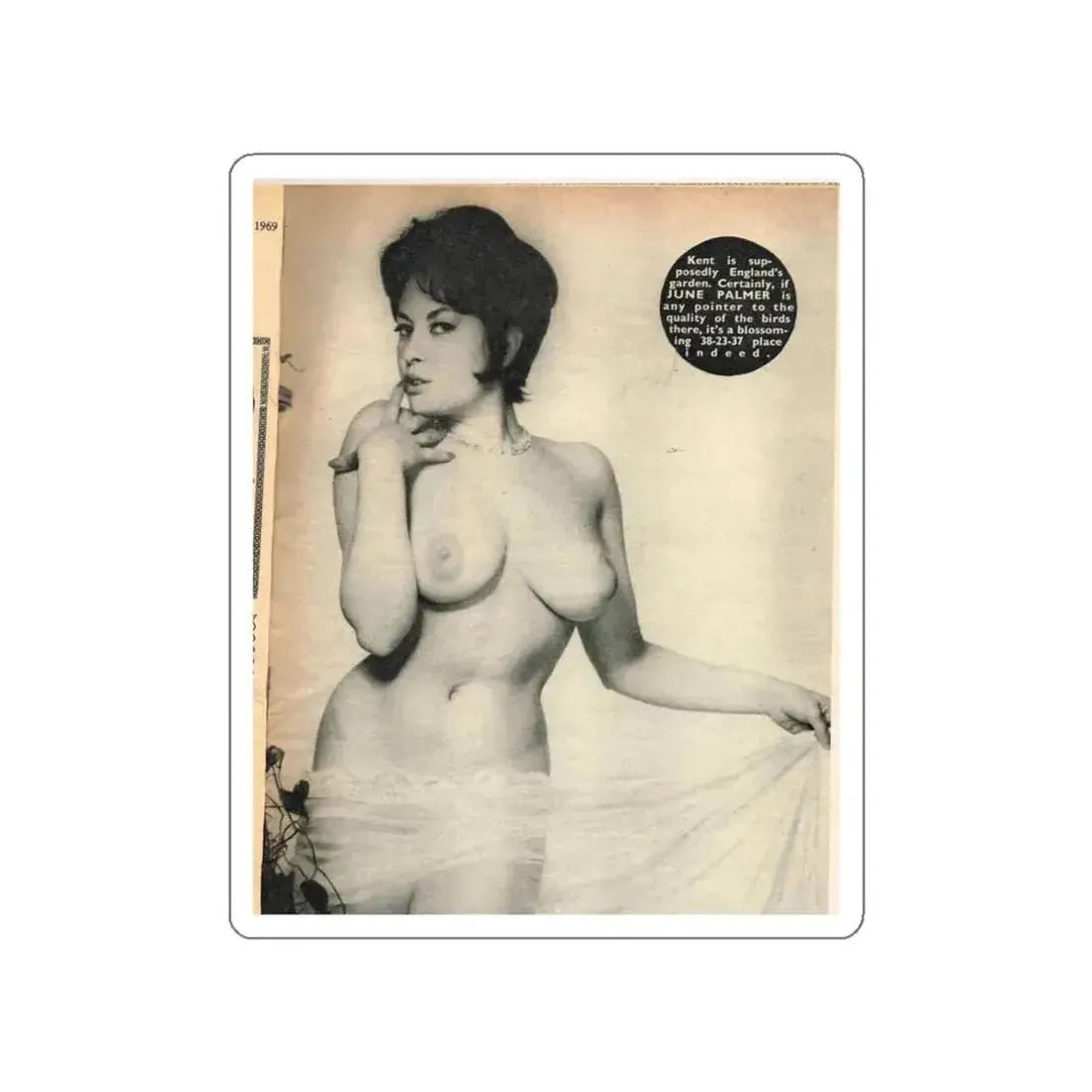 June Palmer #282 - Topless (Vintage Female Icon) STICKER Vinyl Die-Cut Decal - The Sticker Space