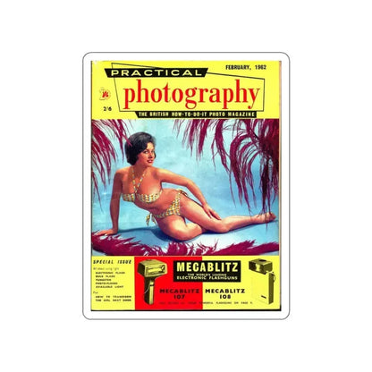 June Palmer #289 (Vintage Female Icon) STICKER Vinyl Die-Cut Decal White Die-Cut 6 Inch - The Sticker Space