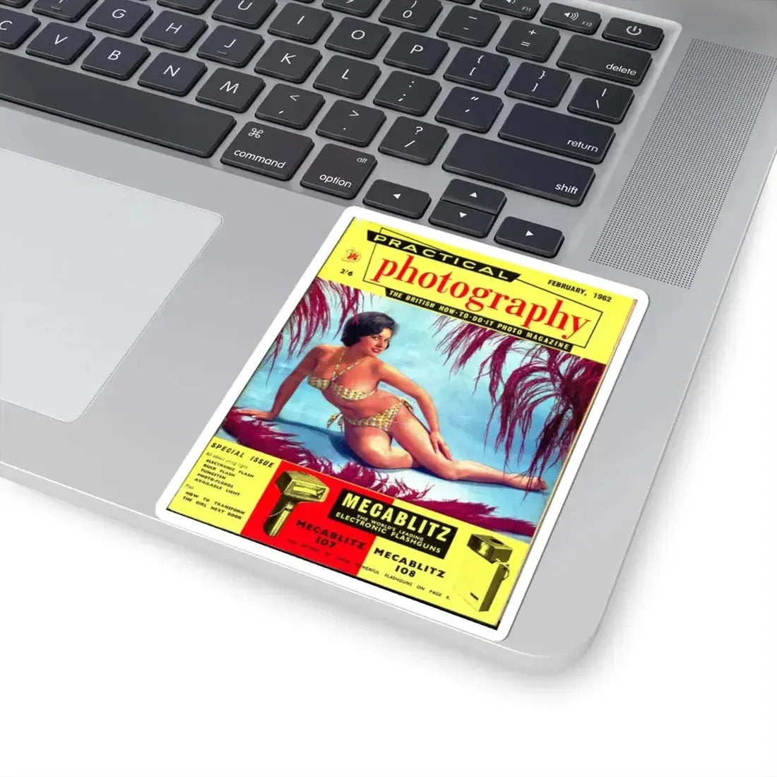 June Palmer #289 (Vintage Female Icon) STICKER Vinyl Kiss-Cut Decal - The Sticker Space