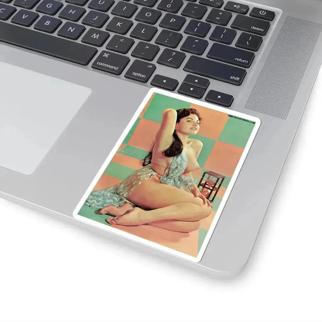 June Palmer #319 (Vintage Female Icon) STICKER Vinyl Kiss-Cut Decal - The Sticker Space