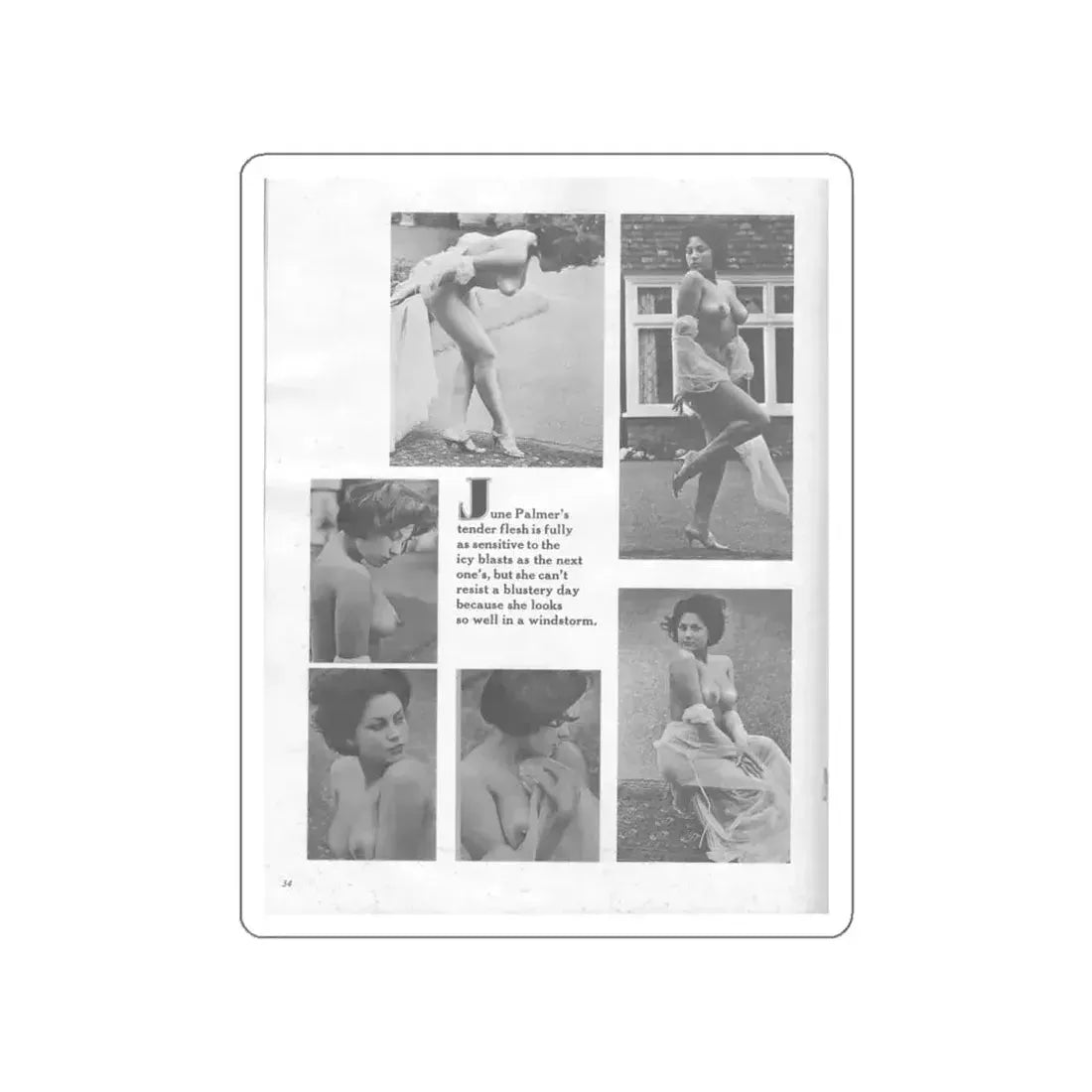 June Palmer #327 - Nude (Vintage Female Icon) STICKER Vinyl Die-Cut Decal - The Sticker Space