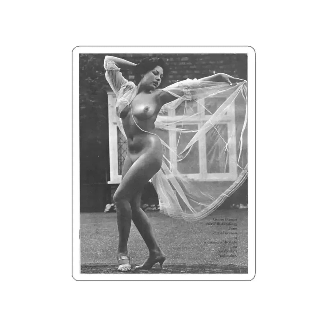 June Palmer #328 - Nude (Vintage Female Icon) STICKER Vinyl Die-Cut Decal - The Sticker Space