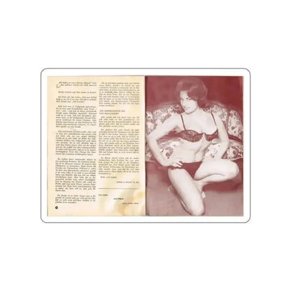 June Palmer #329 (Vintage Female Icon) STICKER Vinyl Die-Cut Decal - The Sticker Space