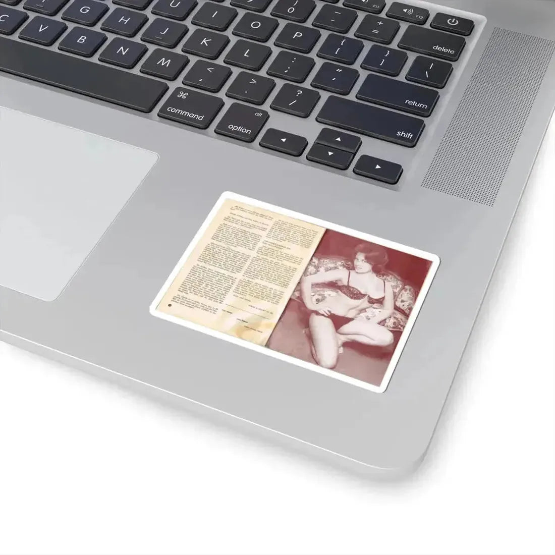 June Palmer #329 (Vintage Female Icon) STICKER Vinyl Kiss-Cut Decal - The Sticker Space