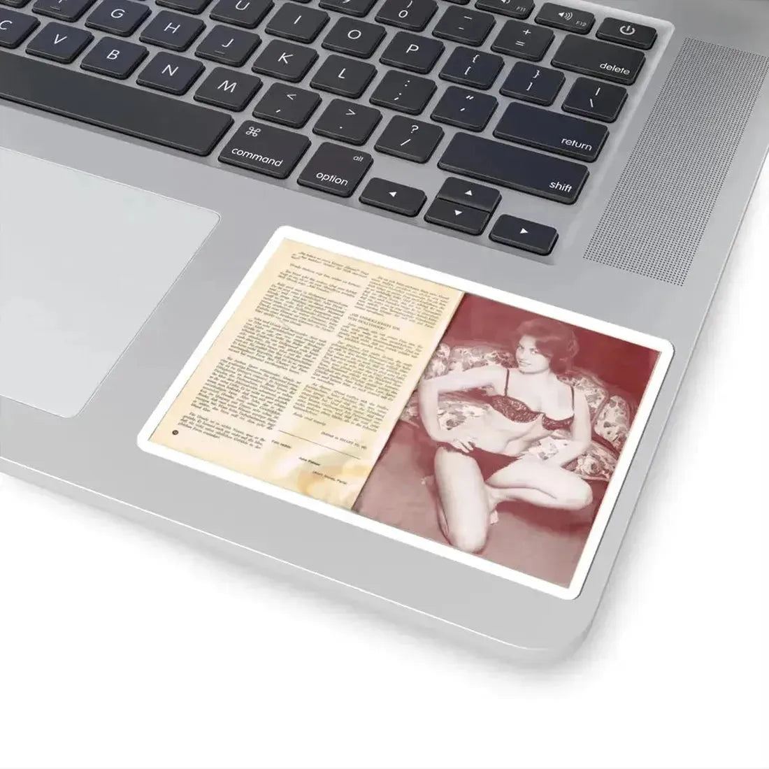 June Palmer #329 (Vintage Female Icon) STICKER Vinyl Kiss-Cut Decal - The Sticker Space