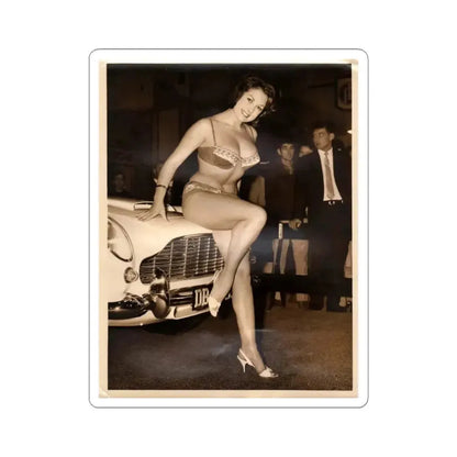 June Palmer #357 (Vintage Female Icon) STICKER Vinyl Kiss-Cut Decal 3 Inch White - The Sticker Space