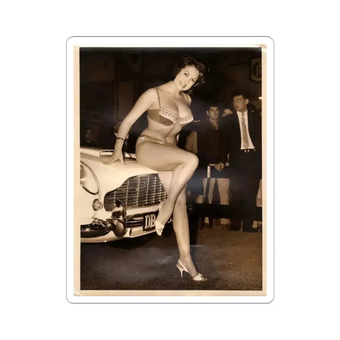 June Palmer #357 (Vintage Female Icon) STICKER Vinyl Kiss-Cut Decal 6 Inch White - The Sticker Space