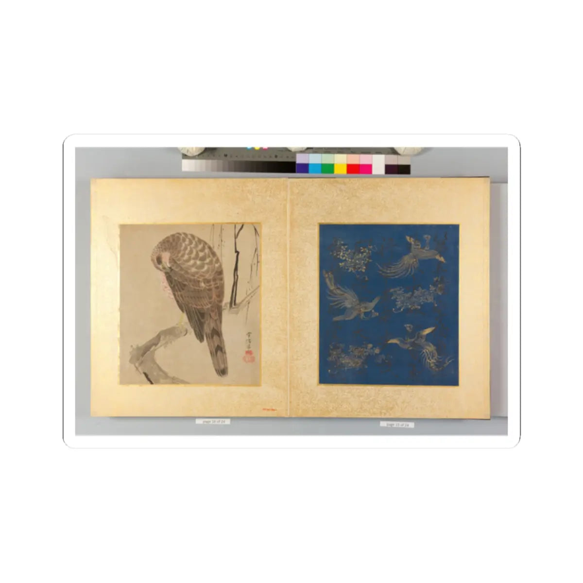 Kano Tsunenobu - Album of Hawks and Calligraphy - 17th–18th century v10 - STICKER Vinyl Kiss-Cut Decal