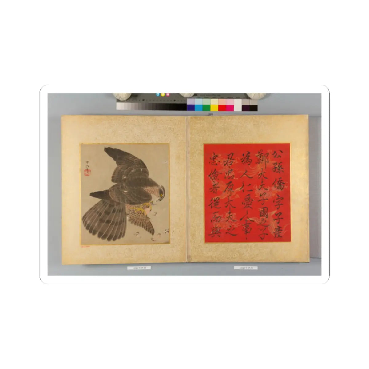 Kano Tsunenobu - Album of Hawks and Calligraphy - 17th–18th century v5 - STICKER Vinyl Kiss-Cut Decal