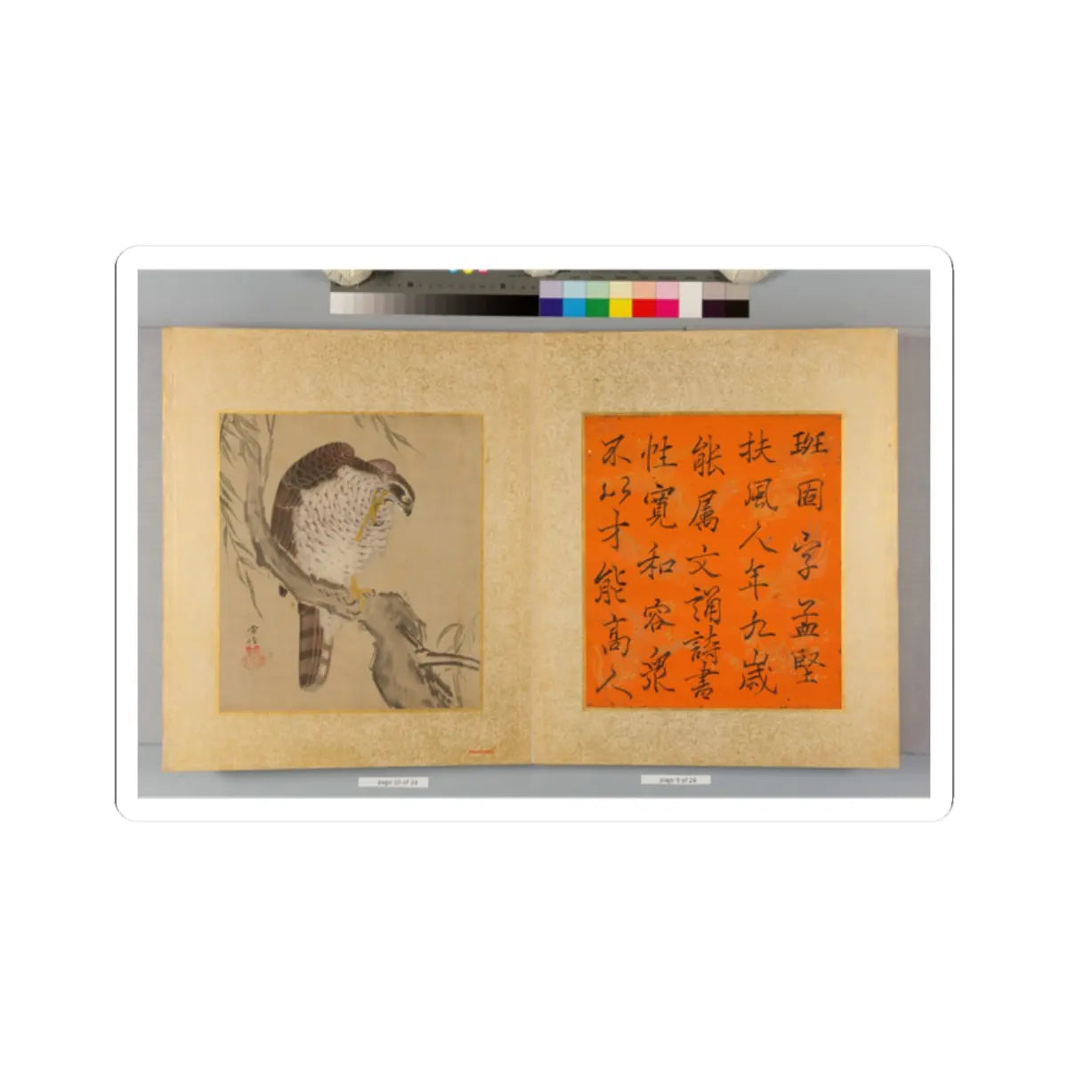 Kano Tsunenobu - Album of Hawks and Calligraphy - 17th–18th century v7 - STICKER Vinyl Kiss-Cut Decal
