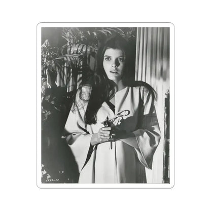 Katharine Ross #101 (Vintage Female Icon) STICKER Vinyl Kiss-Cut Decal 3 Inch White - The Sticker Space