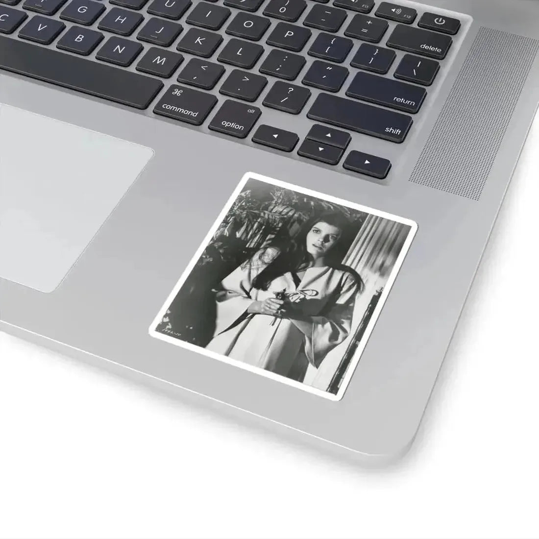 Katharine Ross #101 (Vintage Female Icon) STICKER Vinyl Kiss-Cut Decal - The Sticker Space