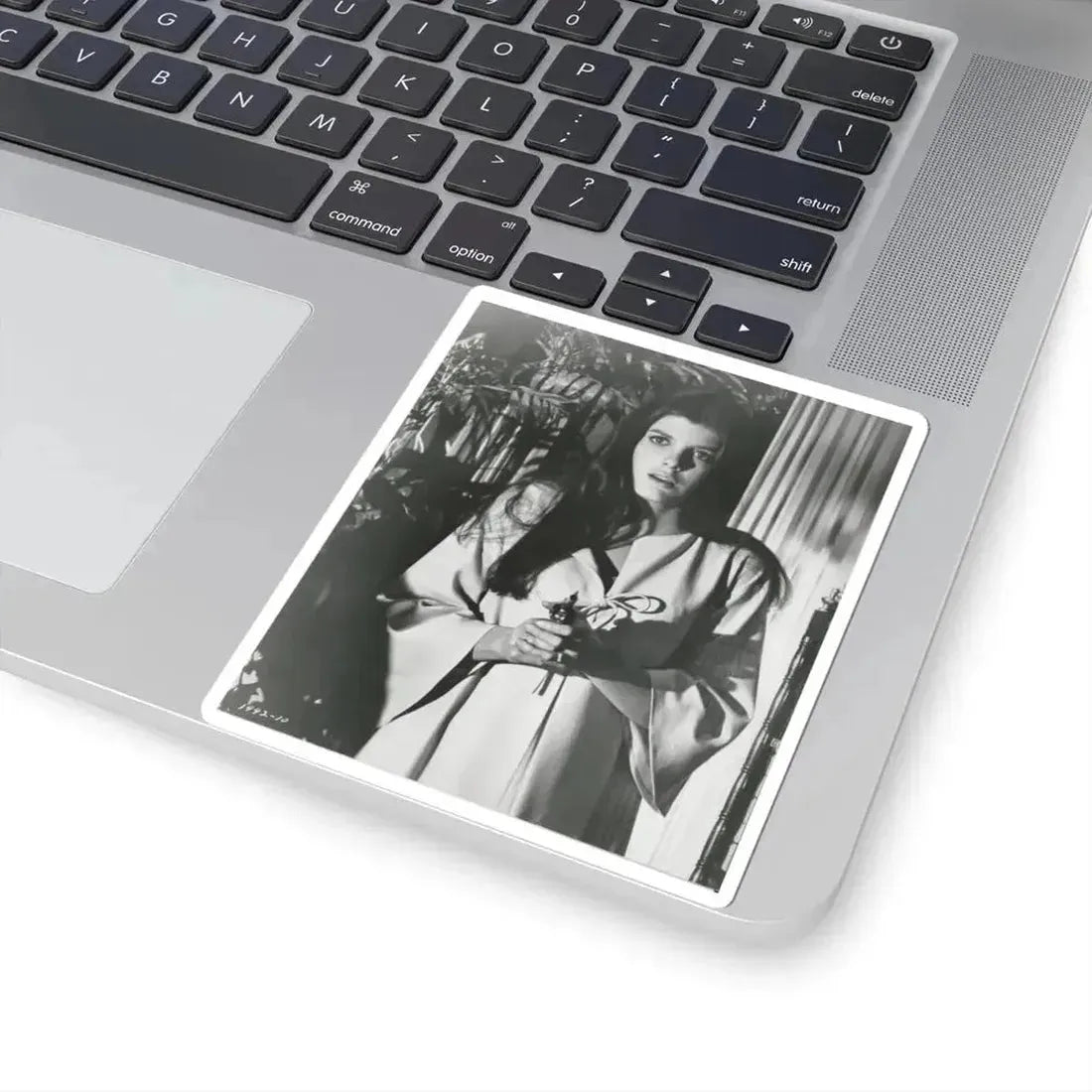 Katharine Ross #101 (Vintage Female Icon) STICKER Vinyl Kiss-Cut Decal - The Sticker Space