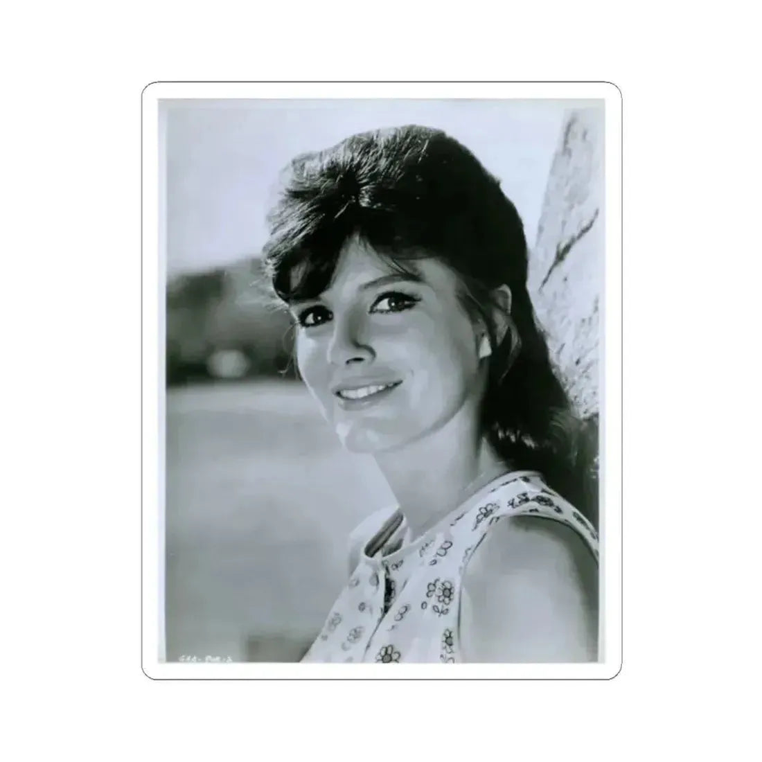 Katharine Ross #34 (Vintage Female Icon) STICKER Vinyl Kiss-Cut Decal 2 Inch White - The Sticker Space