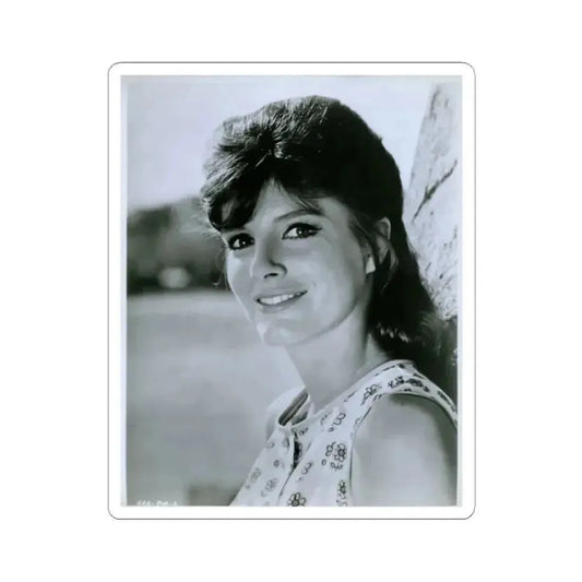 Katharine Ross #34 (Vintage Female Icon) STICKER Vinyl Kiss-Cut Decal 2 Inch White - The Sticker Space