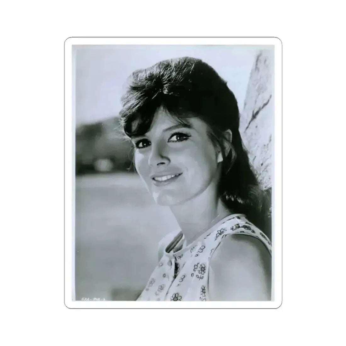 Katharine Ross #34 (Vintage Female Icon) STICKER Vinyl Kiss-Cut Decal 6 Inch White - The Sticker Space