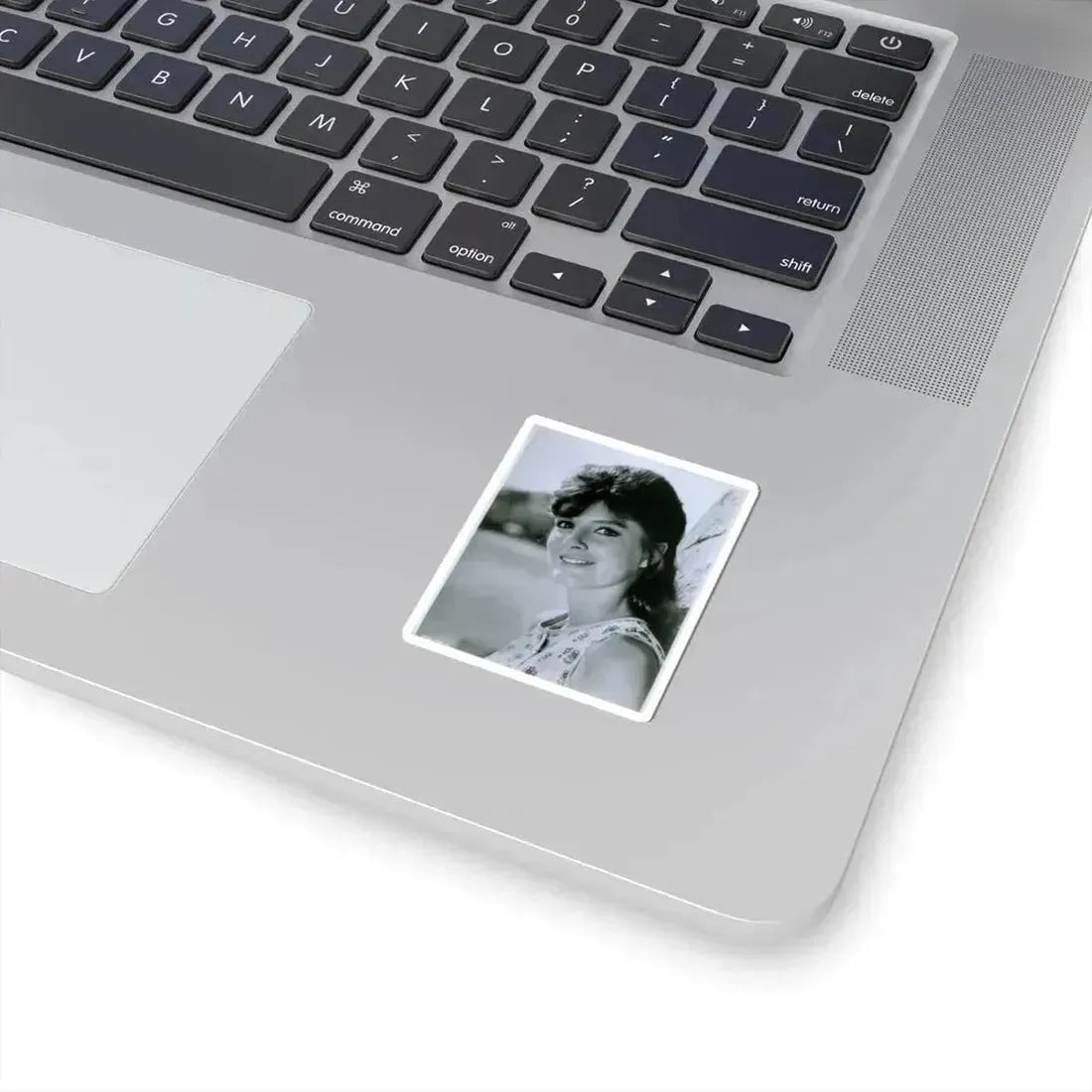 Katharine Ross #34 (Vintage Female Icon) STICKER Vinyl Kiss-Cut Decal - The Sticker Space