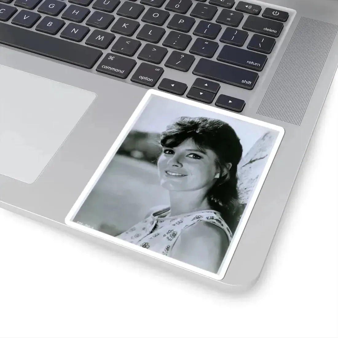 Katharine Ross #34 (Vintage Female Icon) STICKER Vinyl Kiss-Cut Decal - The Sticker Space