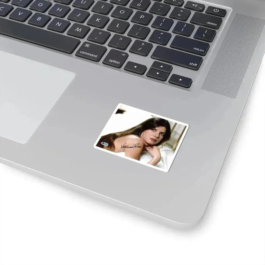 Katharine Ross #80 (Vintage Female Icon) STICKER Vinyl Kiss-Cut Decal - The Sticker Space