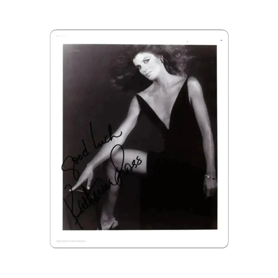 Katharine Ross #81 (Vintage Female Icon) STICKER Vinyl Kiss-Cut Decal 2 Inch White - The Sticker Space