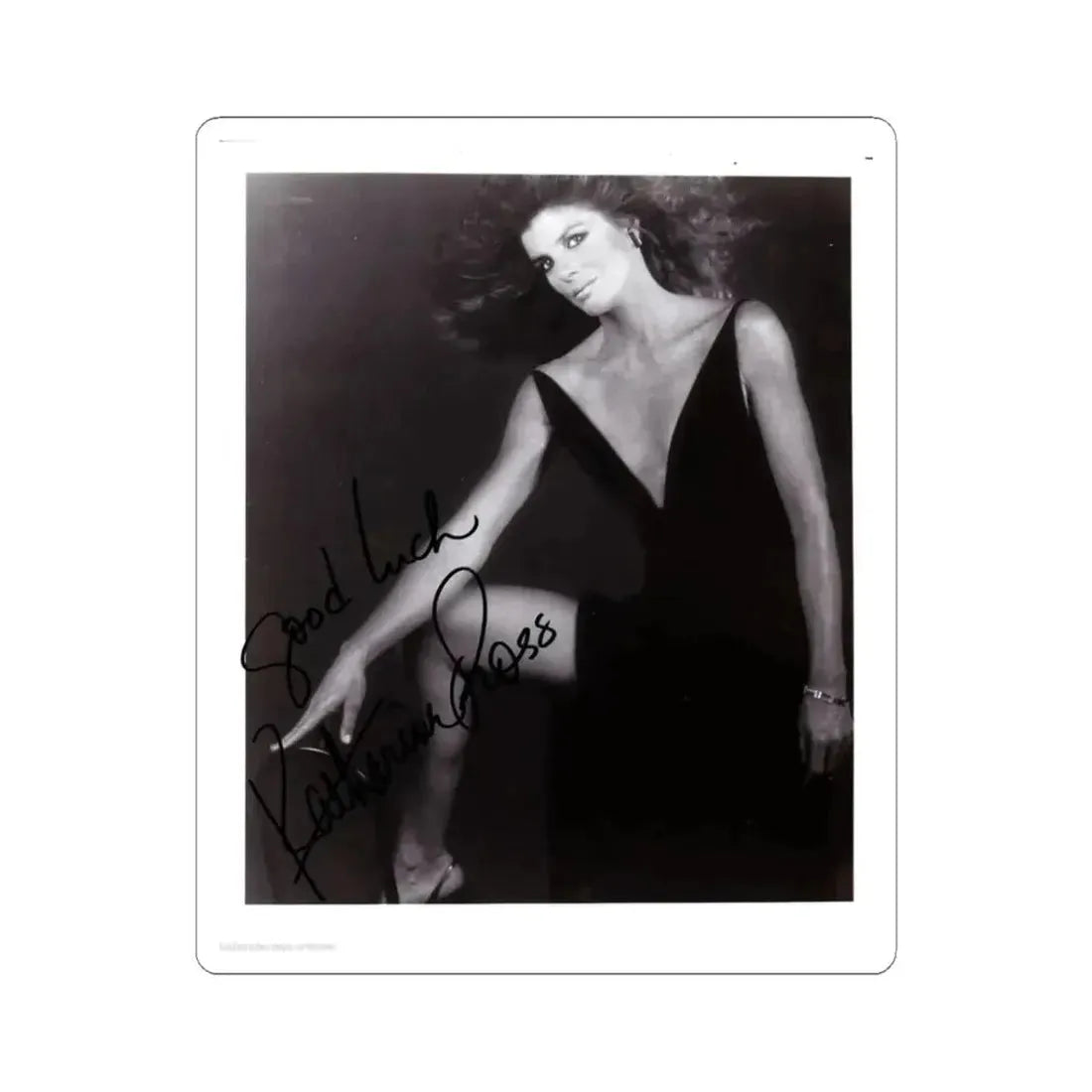 Katharine Ross #81 (Vintage Female Icon) STICKER Vinyl Kiss-Cut Decal 3 Inch White - The Sticker Space