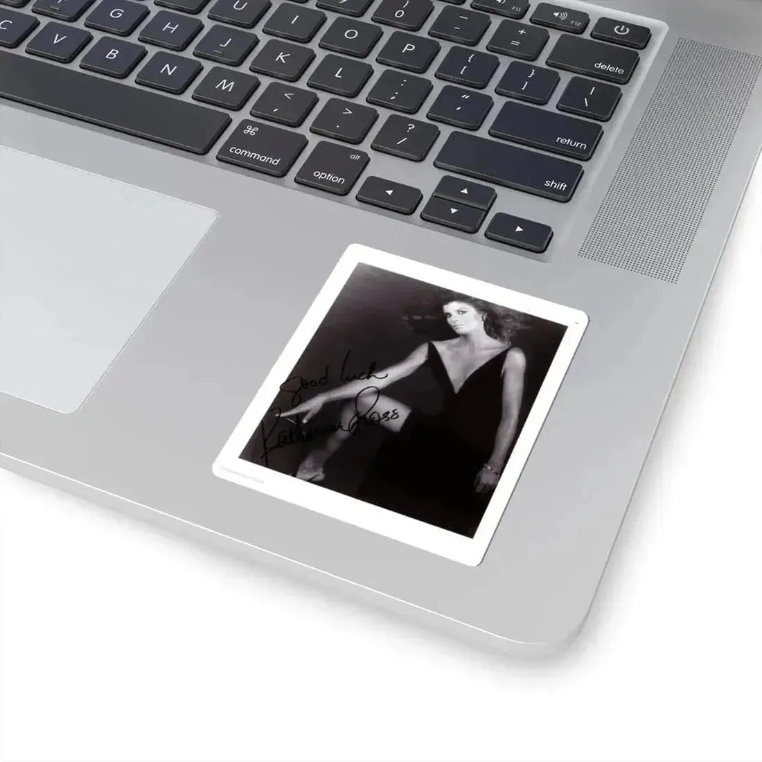 Katharine Ross #81 (Vintage Female Icon) STICKER Vinyl Kiss-Cut Decal - The Sticker Space