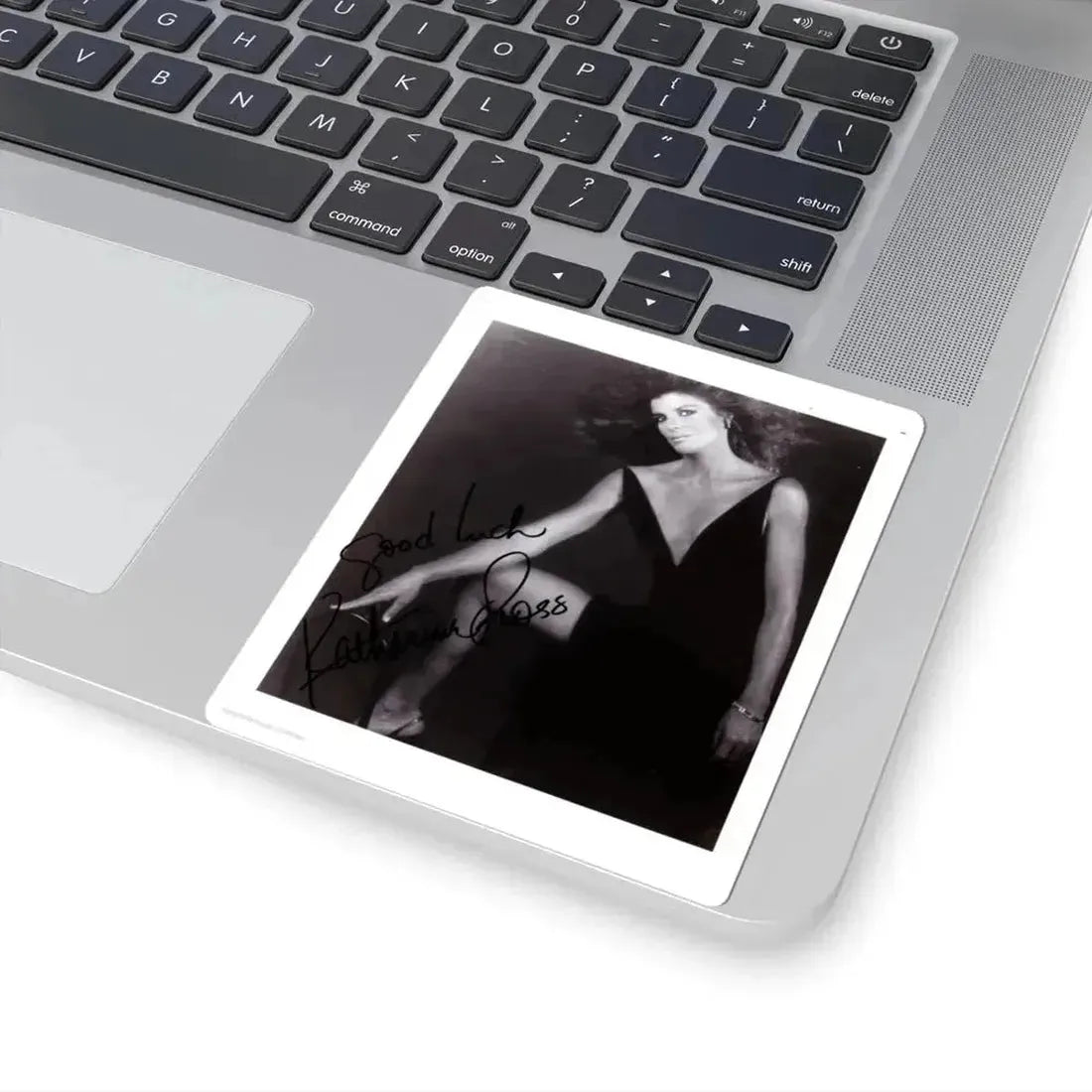 Katharine Ross #81 (Vintage Female Icon) STICKER Vinyl Kiss-Cut Decal - The Sticker Space