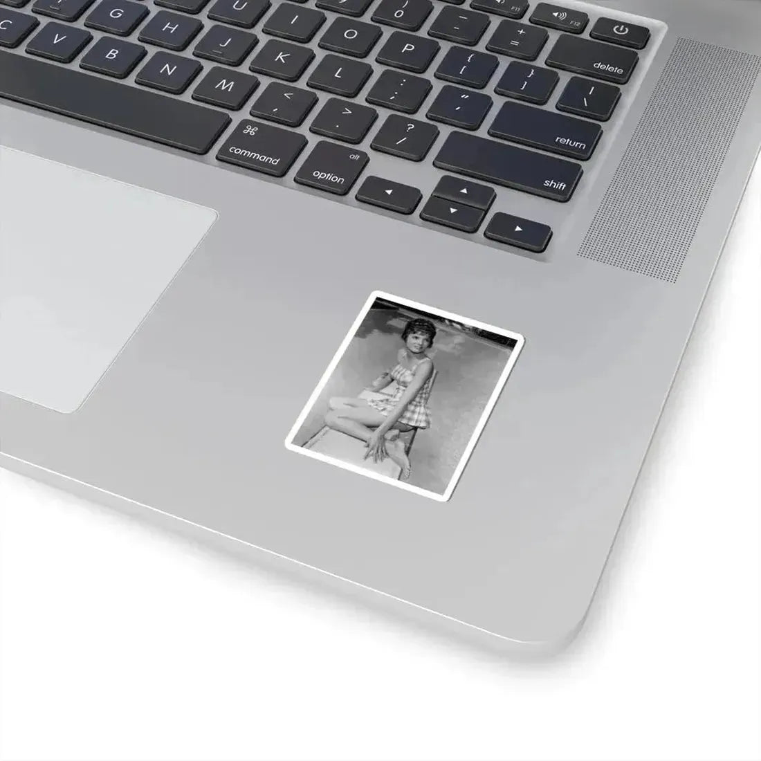 Katharine Ross #95 (Vintage Female Icon) STICKER Vinyl Kiss-Cut Decal - The Sticker Space