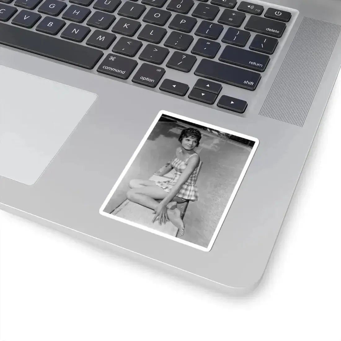 Katharine Ross #95 (Vintage Female Icon) STICKER Vinyl Kiss-Cut Decal - The Sticker Space