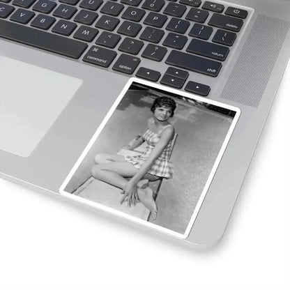 Katharine Ross #95 (Vintage Female Icon) STICKER Vinyl Kiss-Cut Decal - The Sticker Space