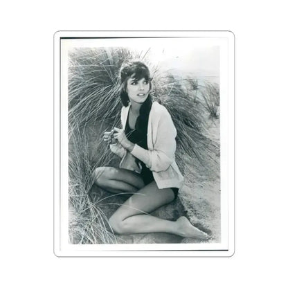 Katharine Ross #97 (Vintage Female Icon) STICKER Vinyl Kiss-Cut Decal 3 Inch White - The Sticker Space