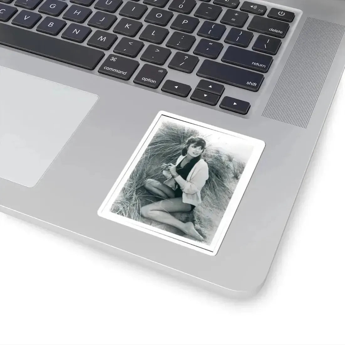 Katharine Ross #97 (Vintage Female Icon) STICKER Vinyl Kiss-Cut Decal - The Sticker Space